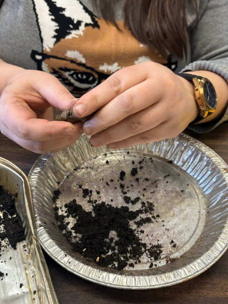 A close up of hands making the seed balls